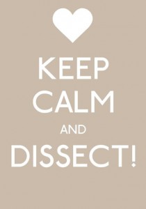 keep_calm_and_dissect__by_miki_ran_su-d641upa
